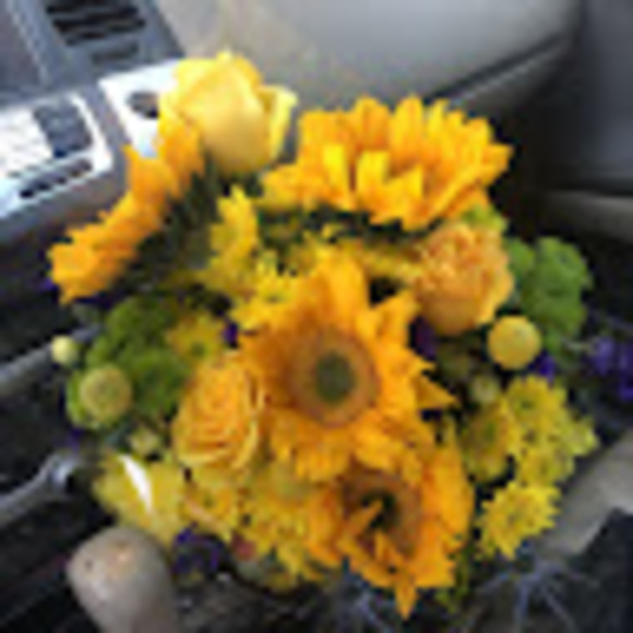 Meet your Posher, Donna - Picture 1 of 1